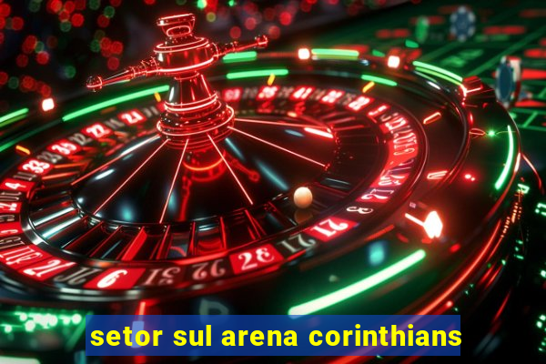 setor sul arena corinthians
